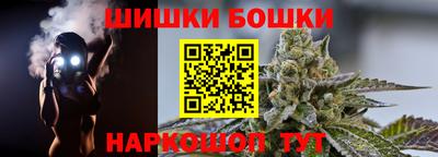 МДПВ Партизанск