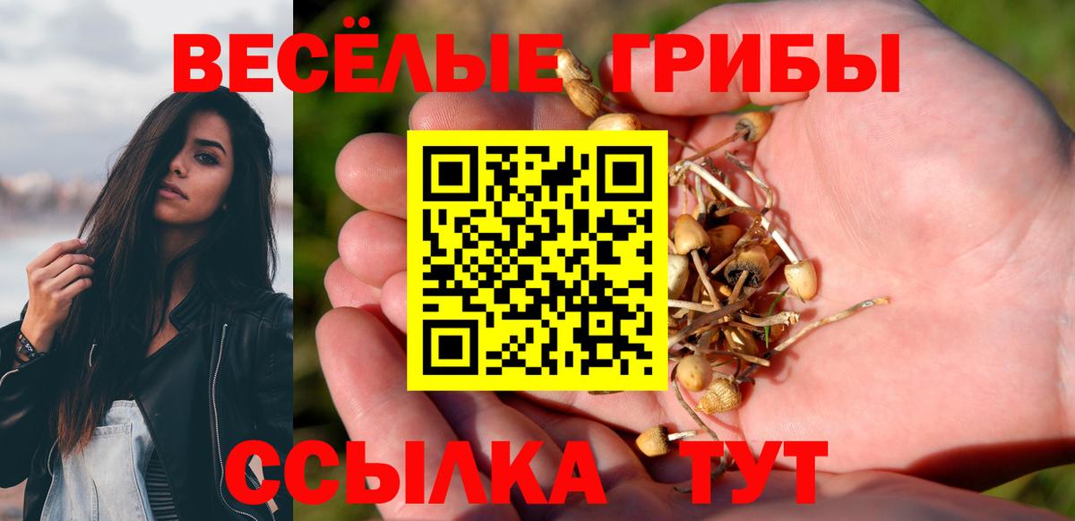 Псилоцибиновые грибы Psilocybe Семёнов